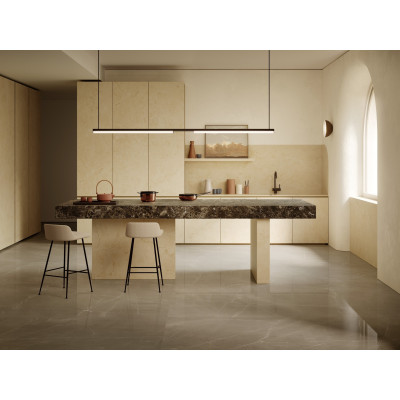 Hummingbird - Vector graphics