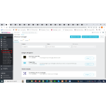 Hummingbird - Vector graphics