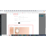 Hummingbird - Vector graphics