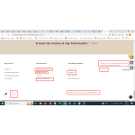 Hummingbird - Vector graphics